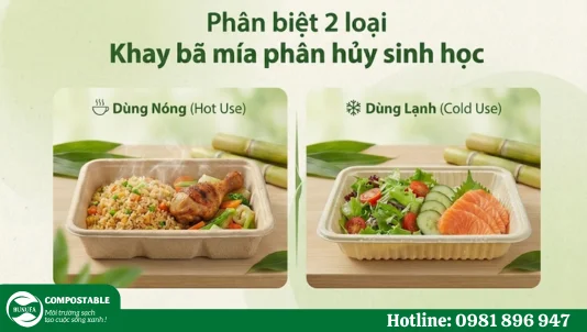 Khay bã mía phân hủy sinh học: Phân biệt 2 dòng phổ biến缩略图